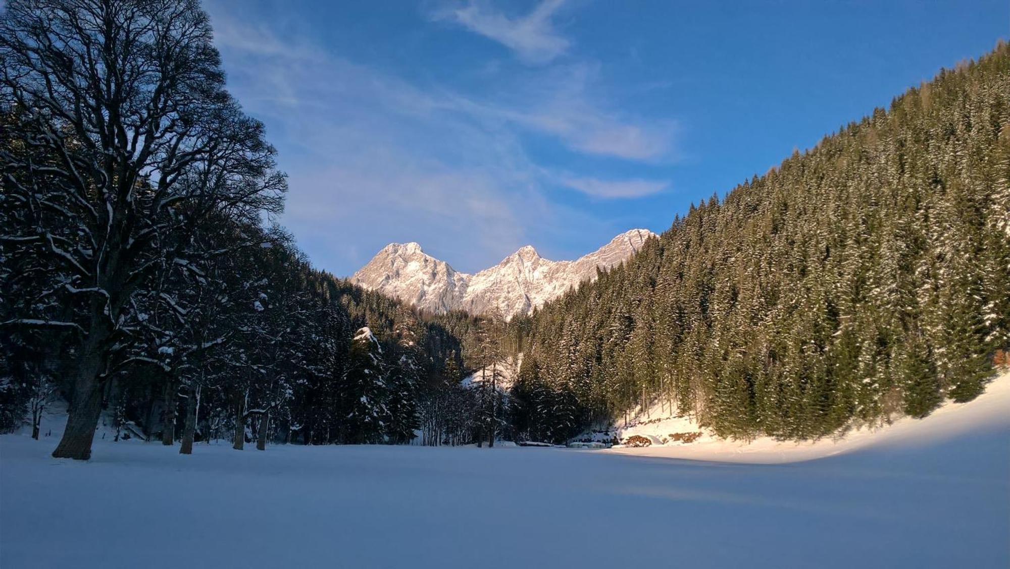 Alpenrose Boutique Chalet Gretl Ramsau am Dachstein Exterior foto